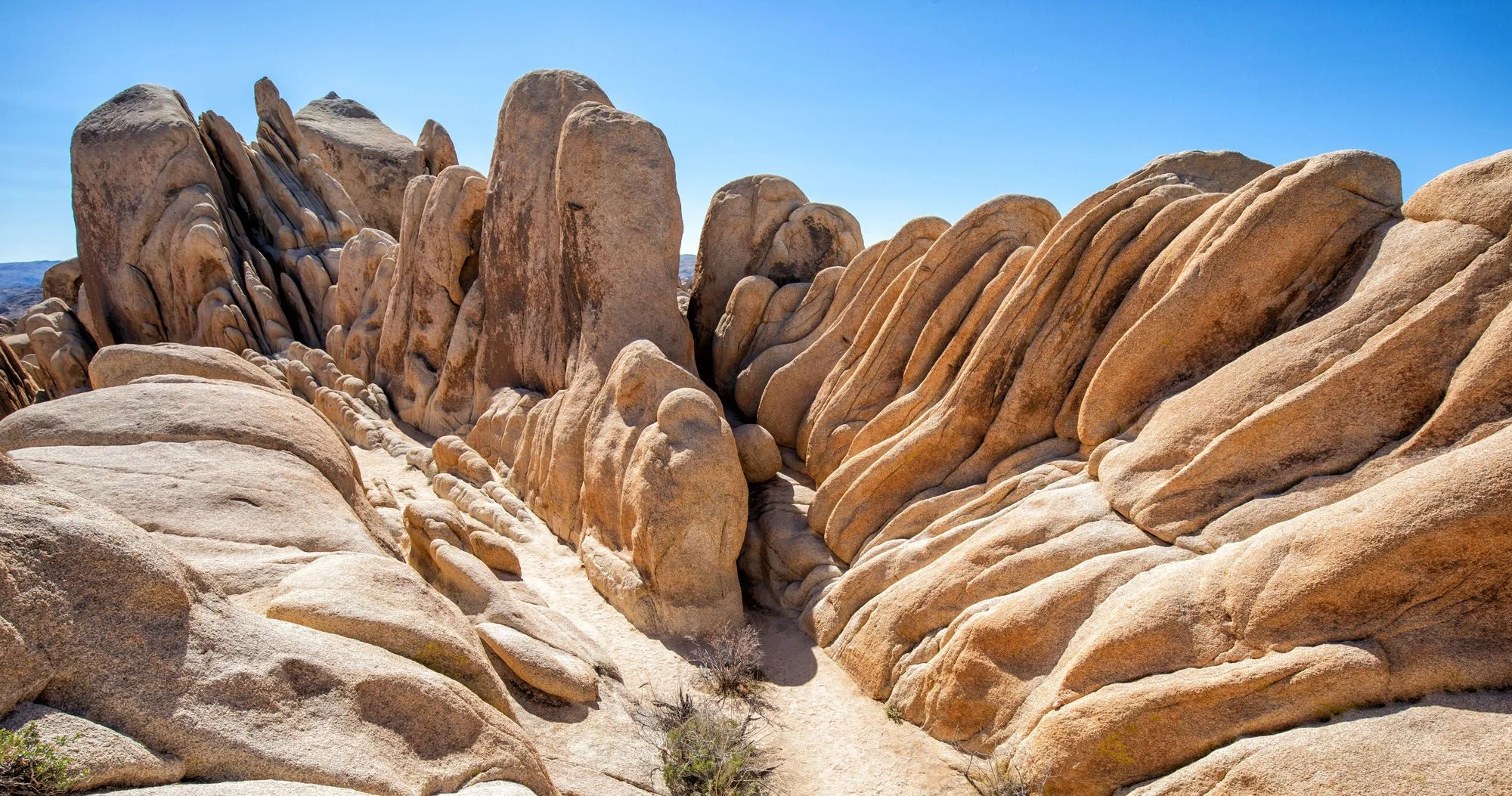 Joshua Tree National Park landscape